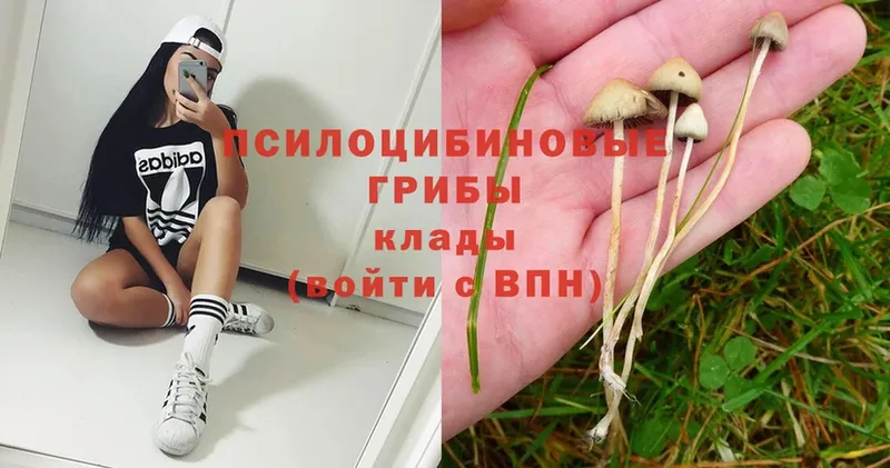 Псилоцибиновые грибы Magic Shrooms  Нягань 